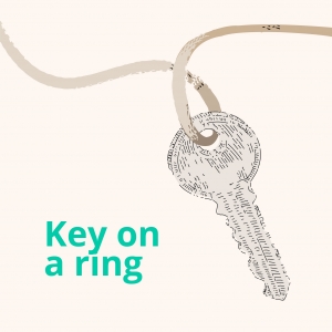 key on a ring - 70 ron donation