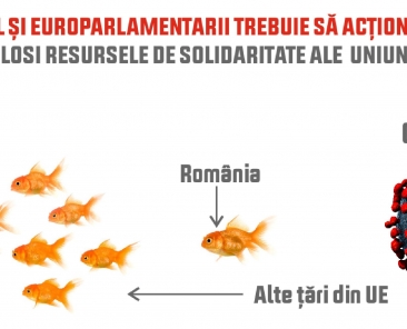 solicitam