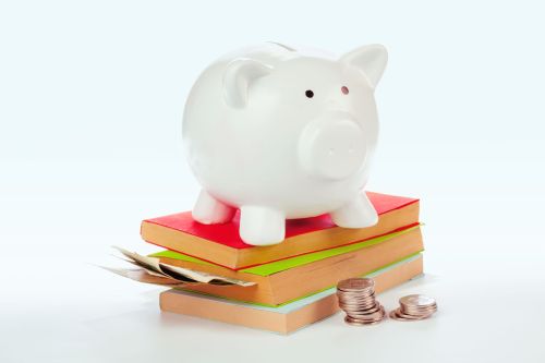 Ceramic piggy bank with books and money Ceramic piggy bank with books and money